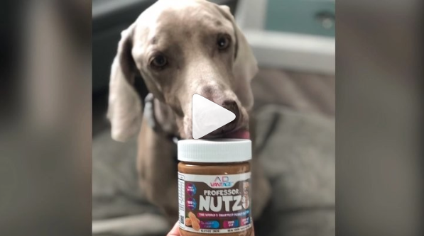 The Pups Want Peanut Butter Too! | ProfessorNutz™ - The Worlds Smartest Peanut Butter™